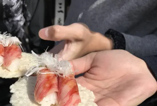 飛騨 こって牛の写真・動画_image_463516