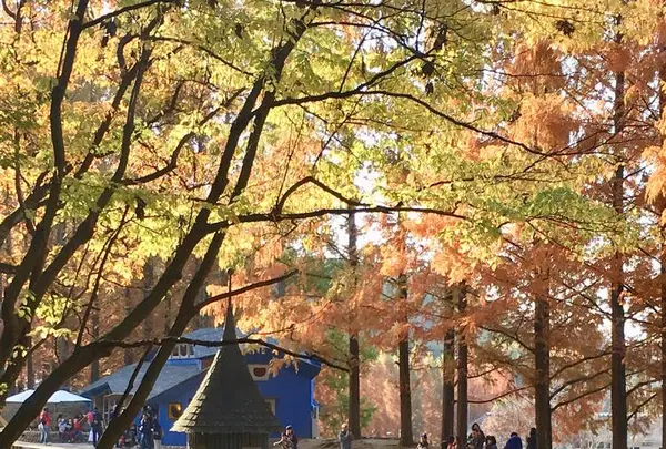 トーベ・ヤンソンあけぼの子どもの森公園の写真・動画_image_463785