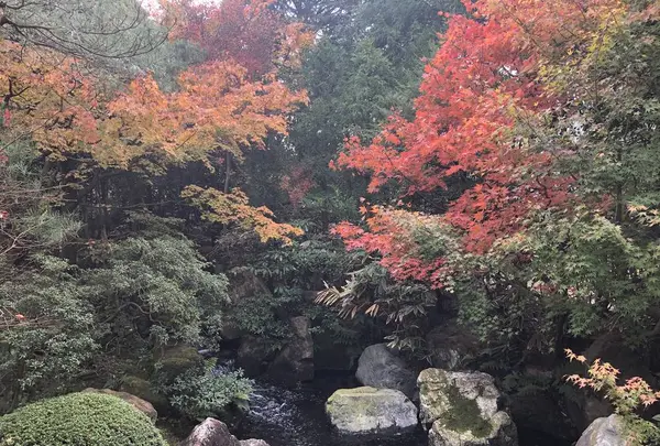 足立美術館の写真・動画_image_464852