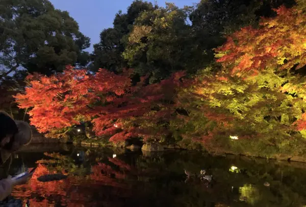 徳川園の写真・動画_image_466482