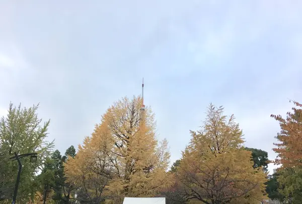 芝公園の写真・動画_image_466742