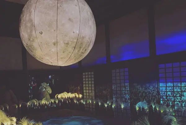 元離宮 二条城の写真・動画_image_467182