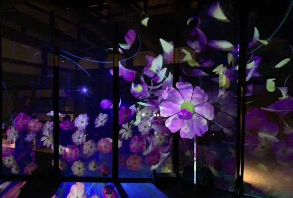 元離宮 二条城の写真・動画_image_467186