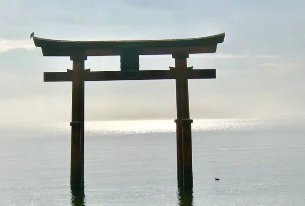 白鬚神社の写真・動画_image_468563