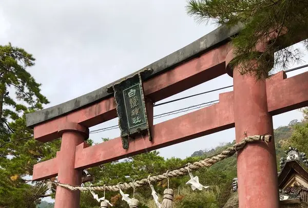 白鬚神社の写真・動画_image_468565