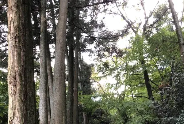 石見銀山の写真・動画_image_469003