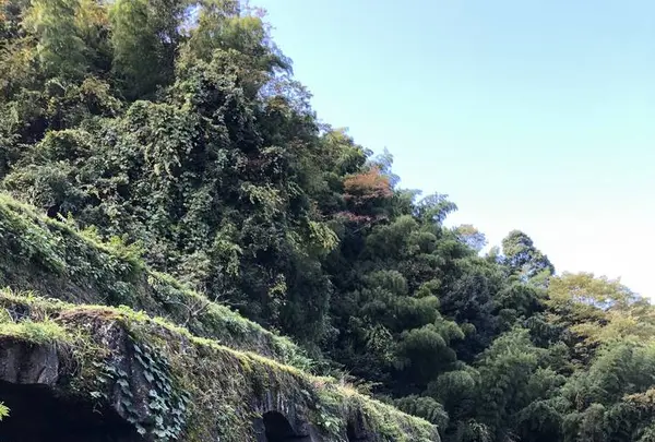 石見銀山の写真・動画_image_469006