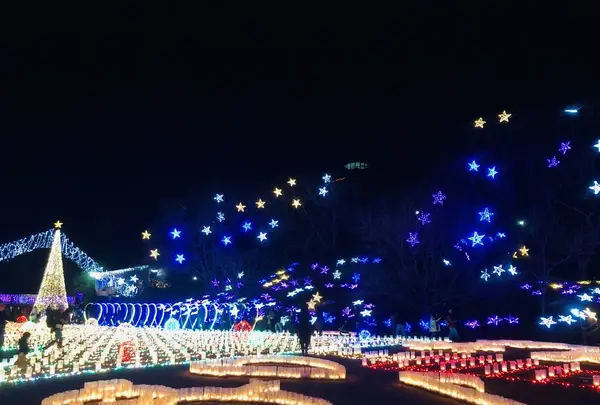 広島市植物公園の写真・動画_image_471156