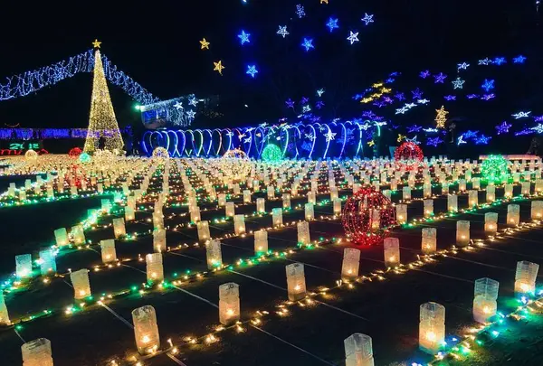 広島市植物公園の写真・動画_image_471158