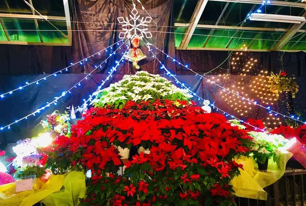 広島市植物公園の写真・動画_image_471161