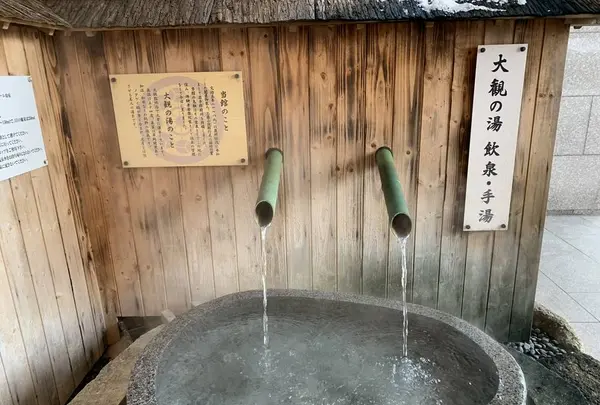 ホテル大観の写真・動画_image_472538