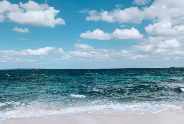 久高島の写真・動画_image_472817