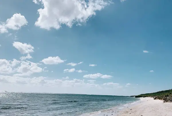 久高島の写真・動画_image_472818