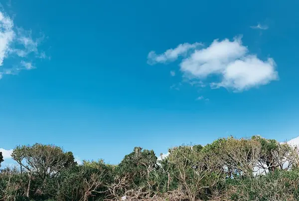 久高島の写真・動画_image_472819