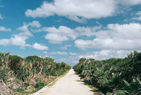 久高島の写真・動画_image_472821