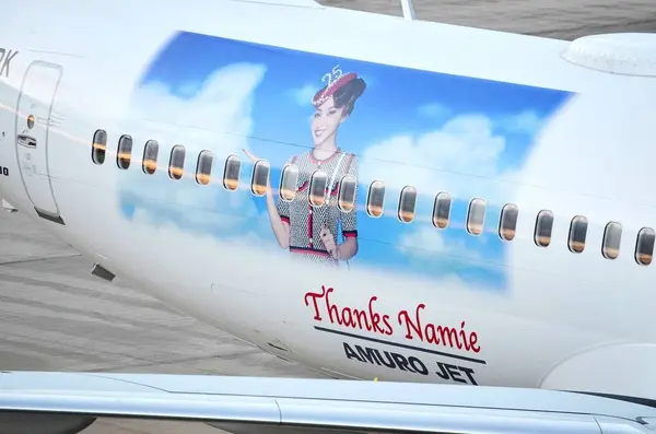 新石垣空港（南ぬ島石垣空港）の写真・動画_image_472985