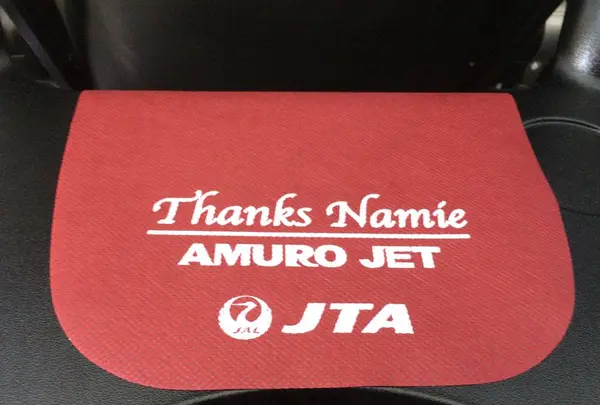 新石垣空港（南ぬ島石垣空港）の写真・動画_image_472987