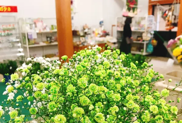 上天草物産館さんぱーるの写真・動画_image_474320