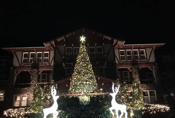 雲仙観光ホテルの写真・動画_image_475213