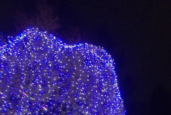 東京ミッドタウンの写真・動画_image_475634