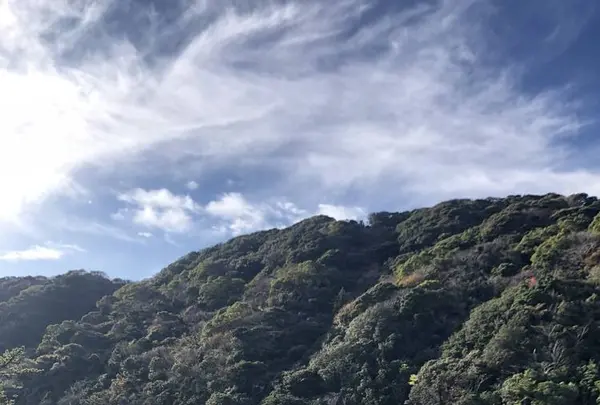 鍋田浜の写真・動画_image_475732