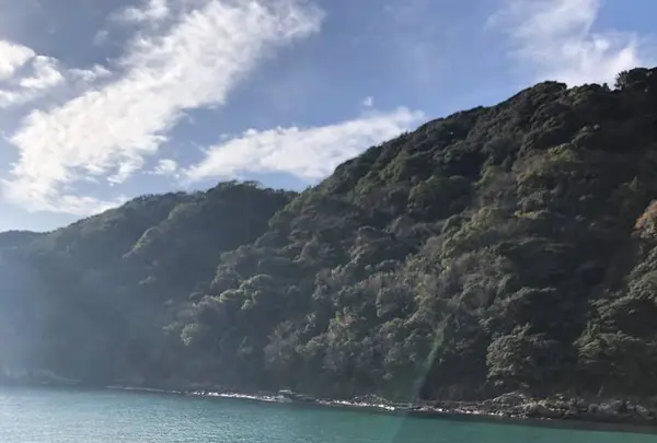 鍋田浜の写真・動画_image_475733