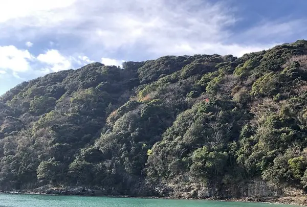 鍋田浜の写真・動画_image_475734
