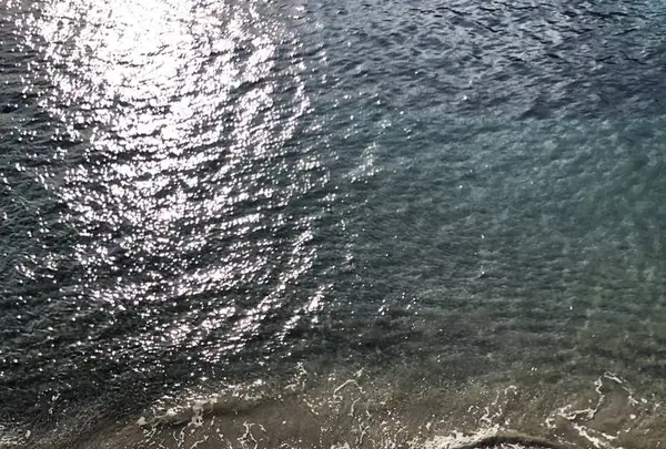 鍋田浜の写真・動画_image_475735