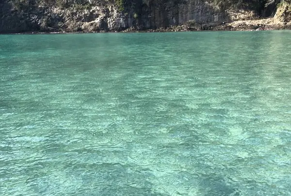 鍋田浜の写真・動画_image_475736