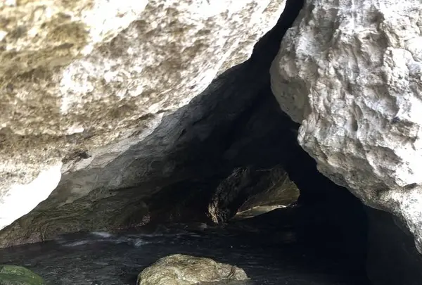 鍋田浜の写真・動画_image_475740