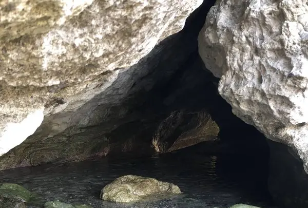 鍋田浜の写真・動画_image_475742