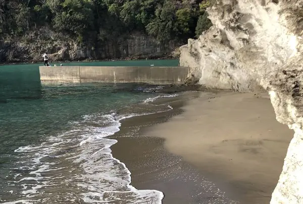 鍋田浜の写真・動画_image_475743