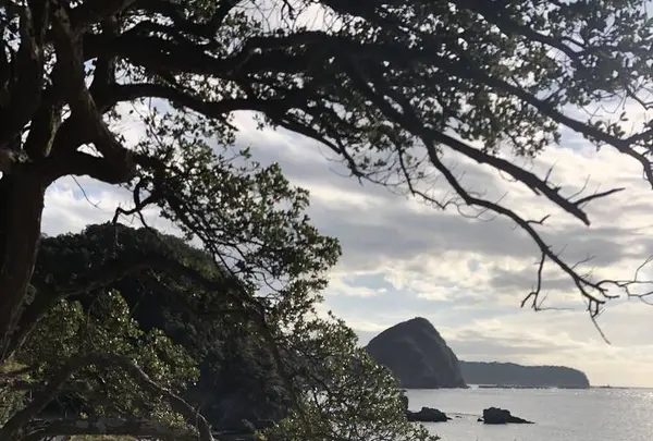 鍋田浜の写真・動画_image_475746