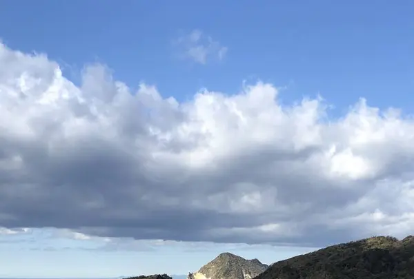 あいあい岬の写真・動画_image_475752