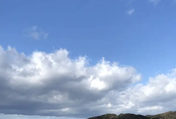 あいあい岬の写真・動画_image_475753