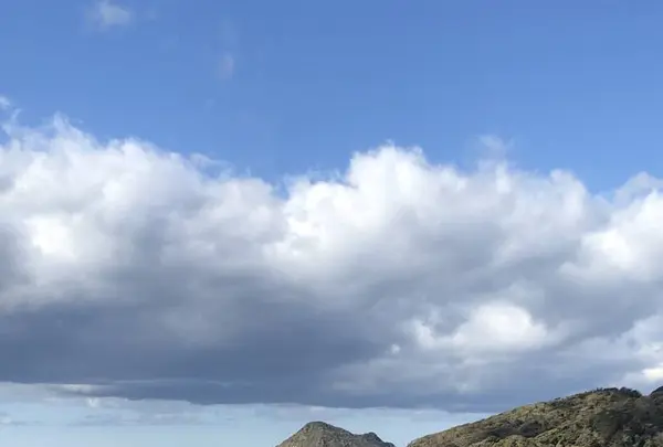 あいあい岬の写真・動画_image_475754