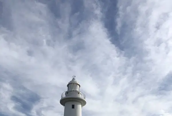 爪木崎の水仙の写真・動画_image_475758