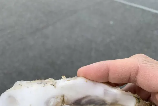 南三陸さんさん商店街の写真・動画_image_475879