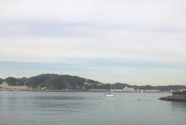 ラ・マーレ・ド・チャヤ 葉山本店の写真・動画_image_477029