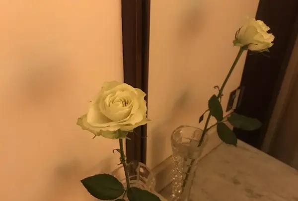 アンセーニュ・ダングル原宿店の写真・動画_image_477392