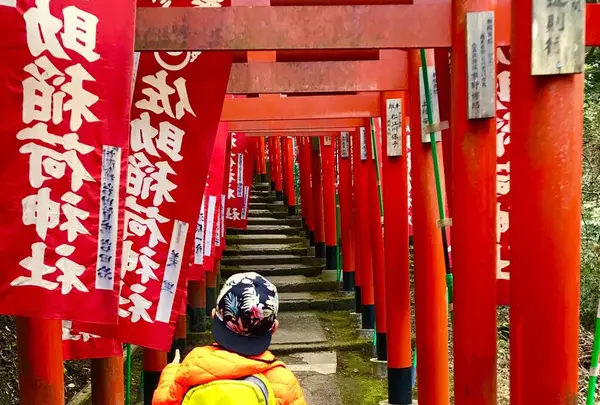 佐助稲荷神社の写真・動画_image_477621