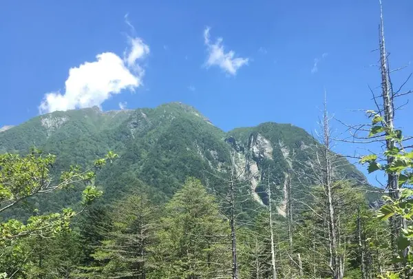 上高地の写真・動画_image_477748