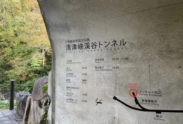 清津峡渓谷トンネルの写真・動画_image_477925