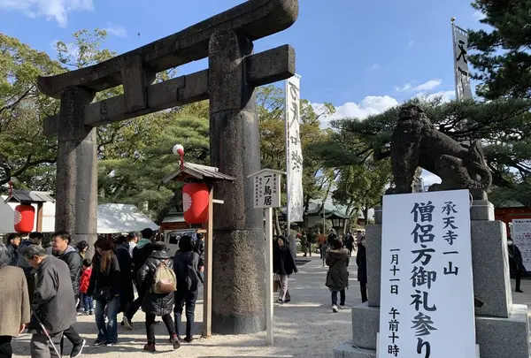 筥崎宮の写真・動画_image_480296