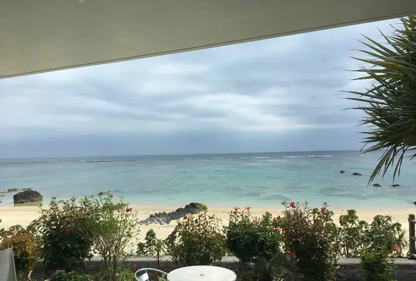 奄美きょら海工房の写真・動画_image_482267