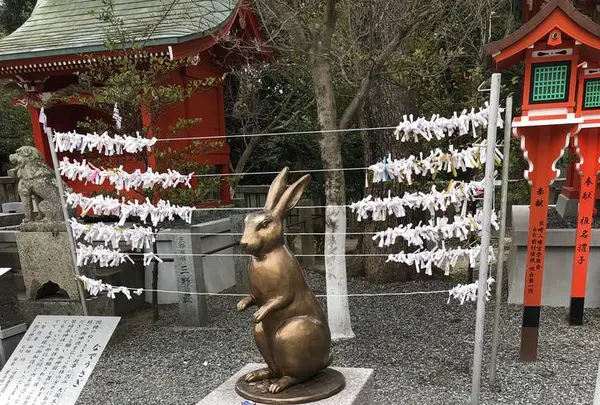 琴崎八幡宮の写真・動画_image_482473