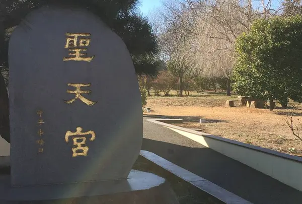 五千頭の龍が昇る聖天宮の写真・動画_image_483027