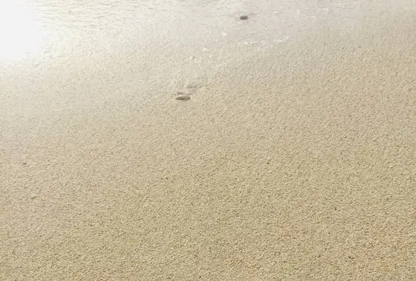 古宇利島の写真・動画_image_483852
