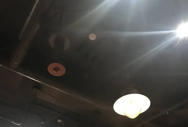 BLUE BOOKS cafe 自由が丘の写真・動画_image_483937