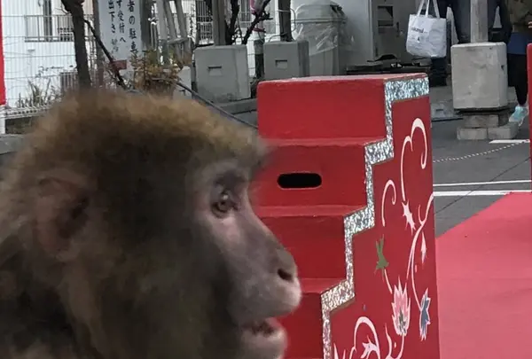 神田明神の写真・動画_image_484441